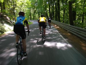 Berlmer Radmarathon dirksen1 520